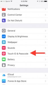 Touch ID and Passcode settings on iPhone