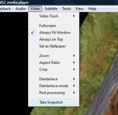 vlc snapshot3