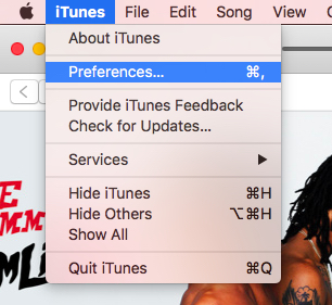iTunes preferences