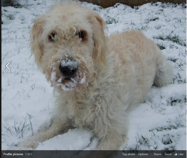 everything-you-need-to-know-about-tagging-on-facebook-2