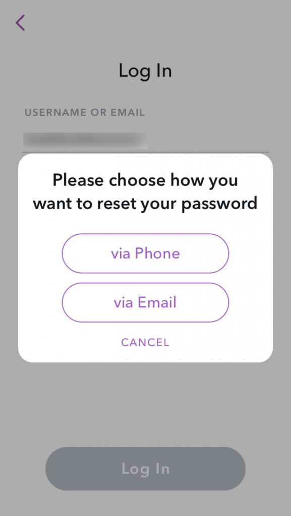 Reset Snap password