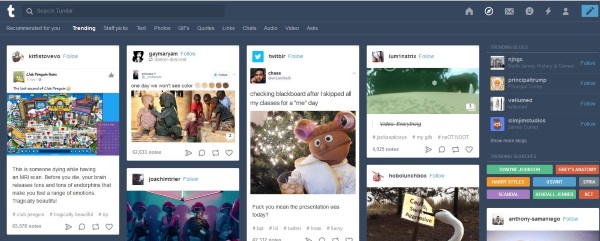 How to search Tumblr effectively3