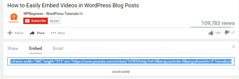 wordpress video4