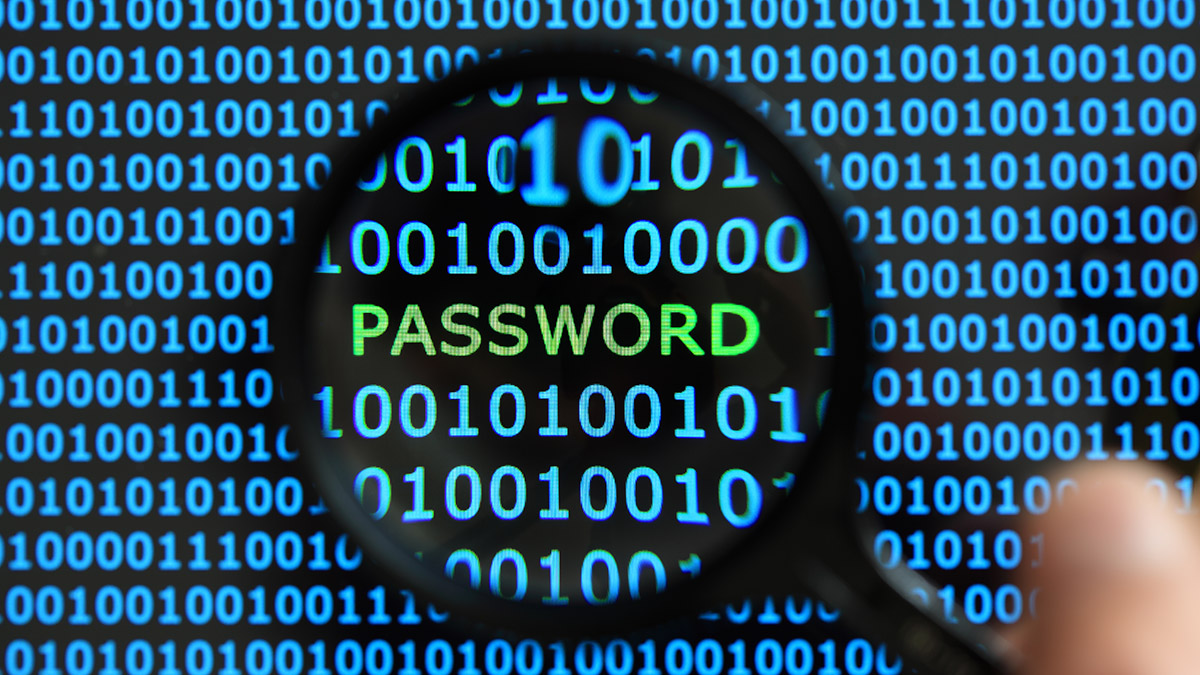 Pony Botnet Password Hack