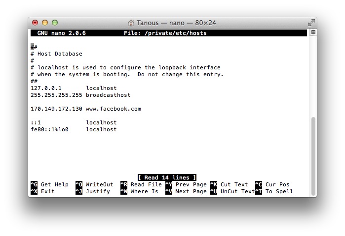 Edit Hosts File Nano