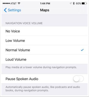 iPhone Settings Maps