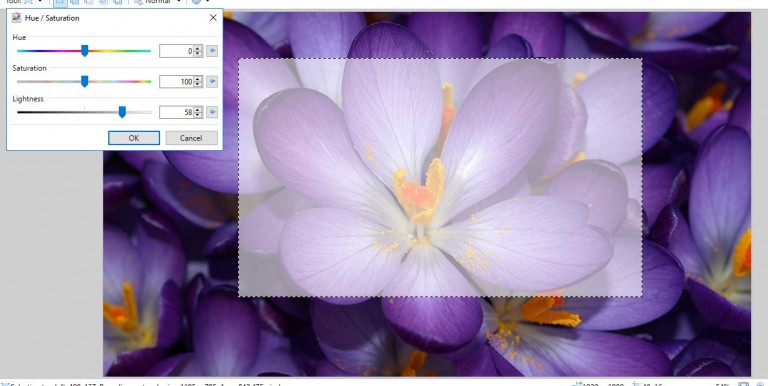 How to Lighten Pictures in Paint.NET - Tech Junkie