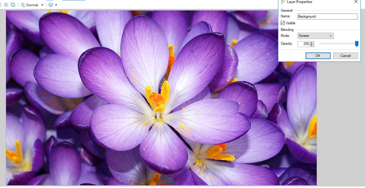 How to Lighten Pictures in Tech Junkie