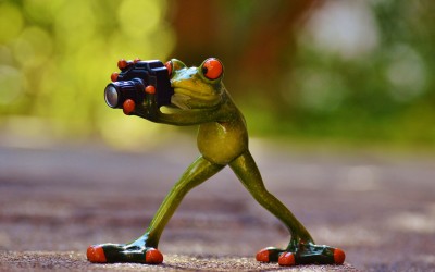 Funny Instagram captions and Quotes