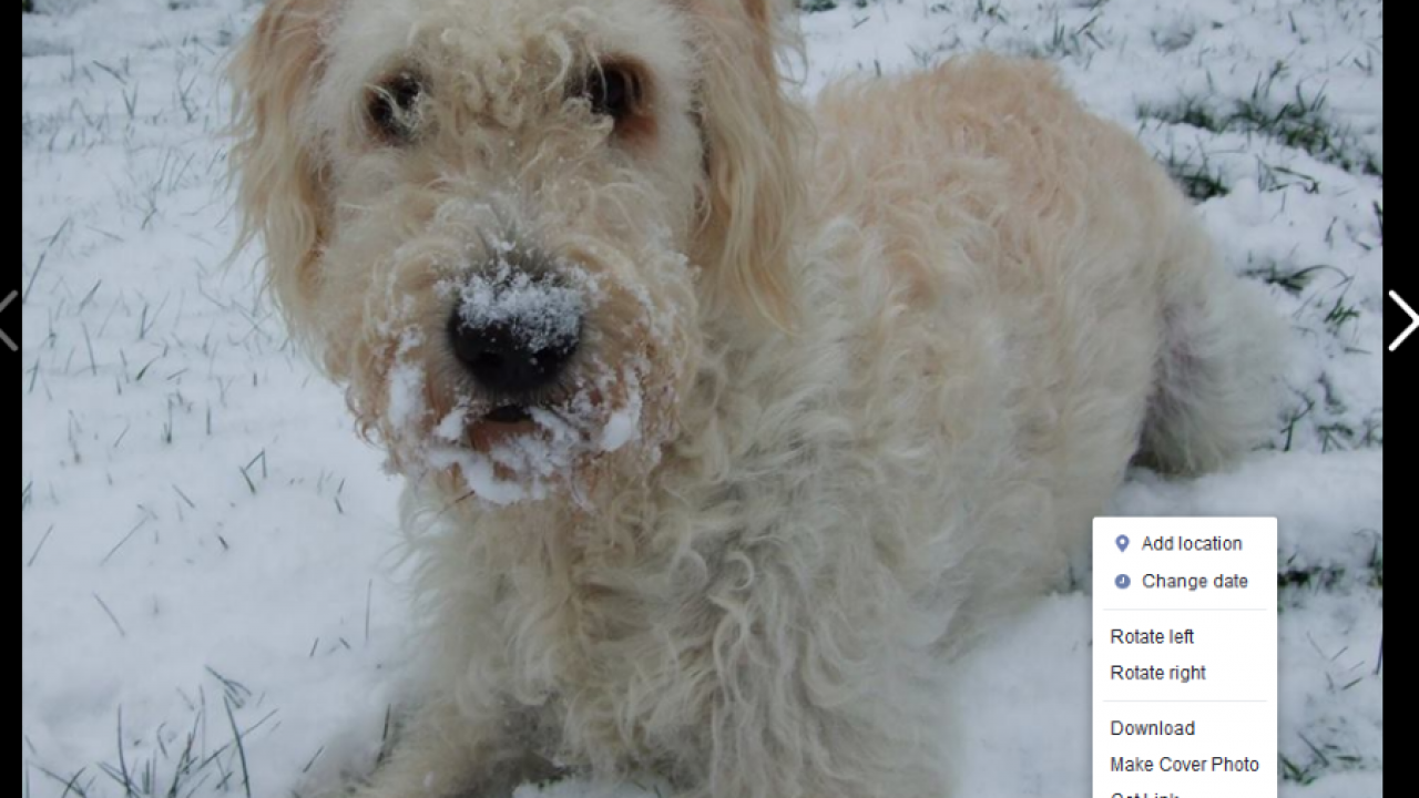 5 Different Methods for Downloading and Saving Your Facebook Photos