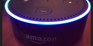 How to use Fitbit Skill with Amazon Echo