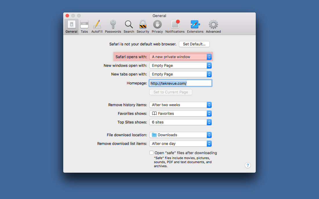 How To Disable Private Browsing In Safari On Ipad | lifescienceglobal.com