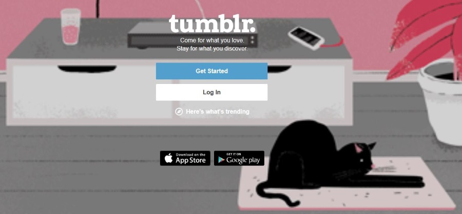 How To Search Tumblr Effectively