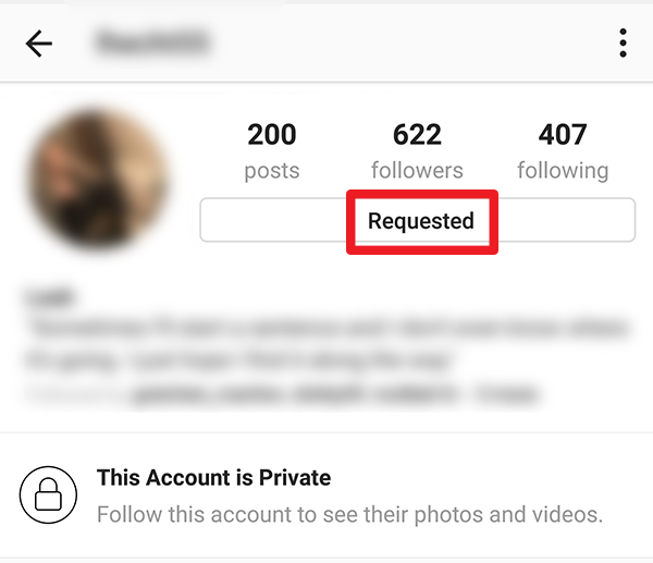 Instagram Private Account Request Button