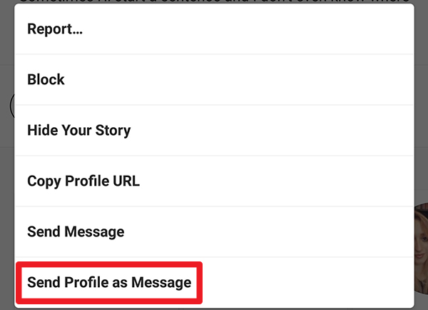 Instagram Send Profile as Message option