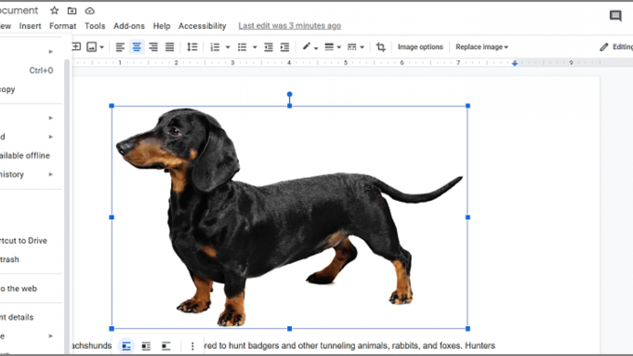 How To Download the Images from a Google Doc