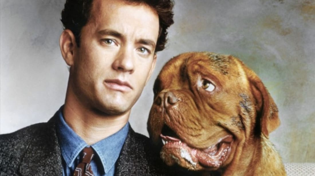 Turner & Hooch