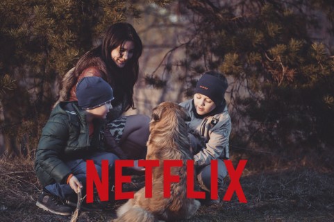 BEST FAMILY FRIENDLY MOVIES ON NETFLIX 2025 visual data 6