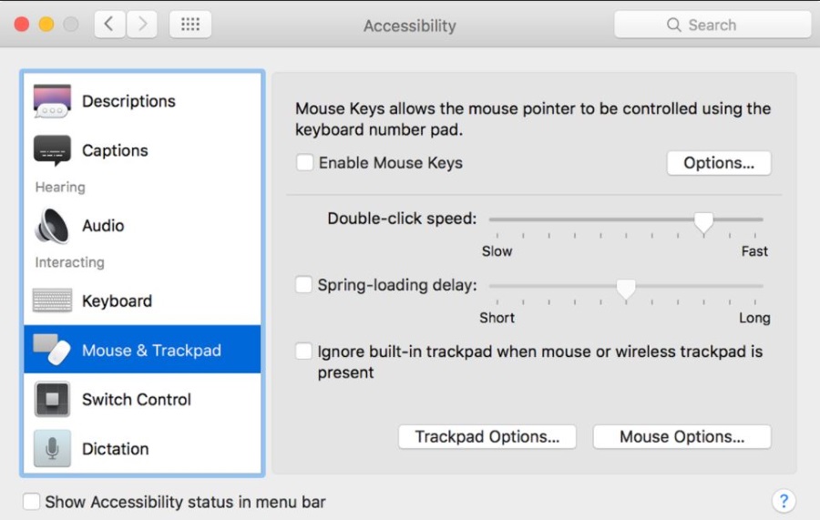 How To Zoom Out on Mac and other Accessibility options