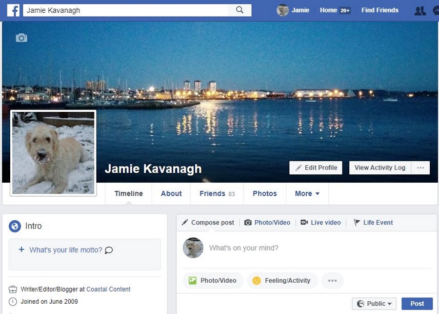 How To Enable or Disable Facebook Posting to Twitter Tech Junkie