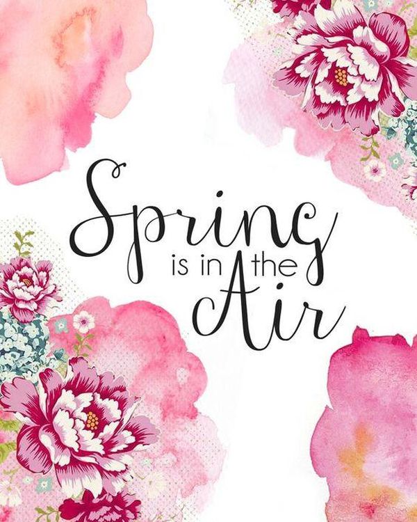 Spring Quotes And Sayings