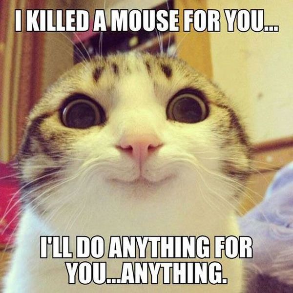 Romantic Memes For Him And Her