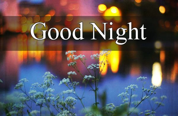 Best Good Night Images, Photos and Pictures
