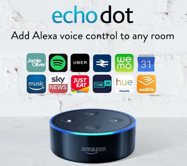 echo spot yellow ring