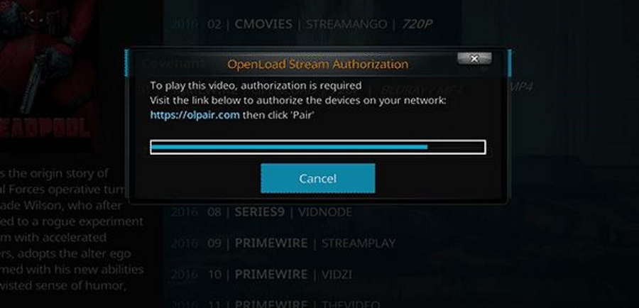 Stream authorization and pair fixes for Kodi Openload