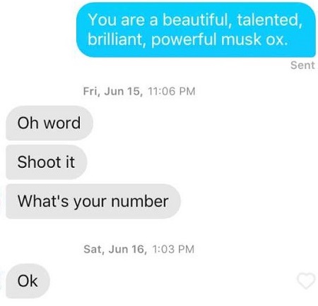 Do Tinder Messages Have Read Receipts to Tell When a Message Is Seen?