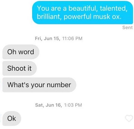 Does double check mark mean it's been read? Or would it say read? : r/Tinder