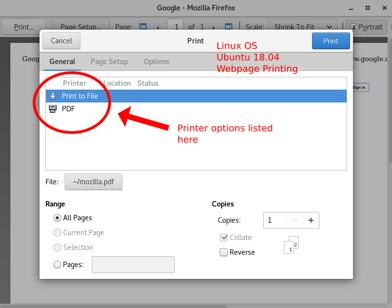 How to invert colors in preview pdf option of mozilla Firefox? - Ask Ubuntu