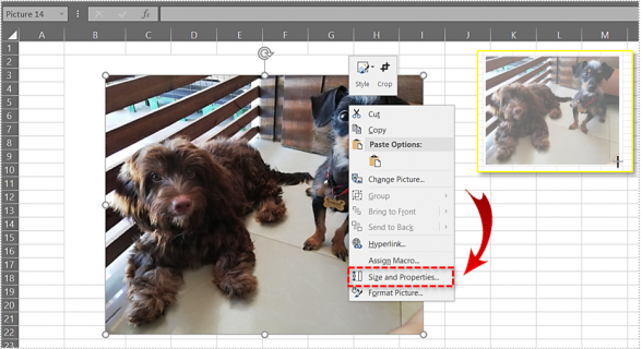 How To Insert an Image or Picture into an Excel Cell - Tech Junkie