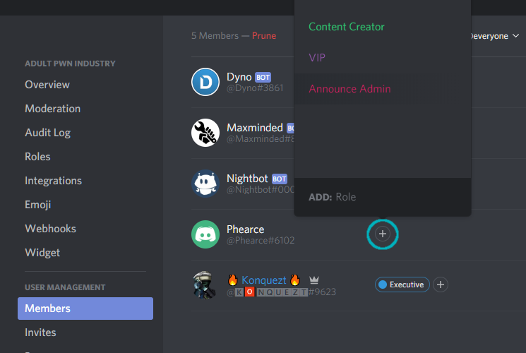 How To Give Admin Access To Another User In Discord