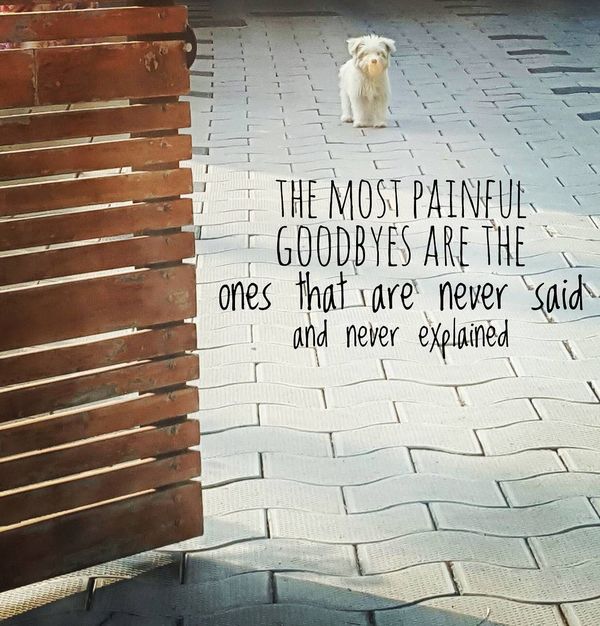 Goodbye Quotes