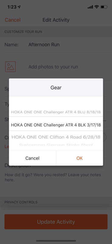 strava Update Activity