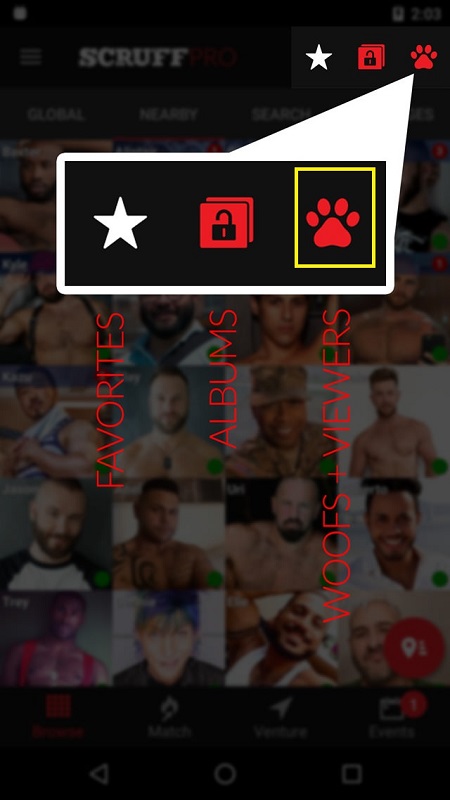 Seeing Viewers in Scruff