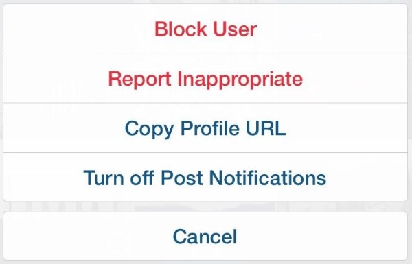 submit report to instagram