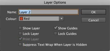 Layer Options