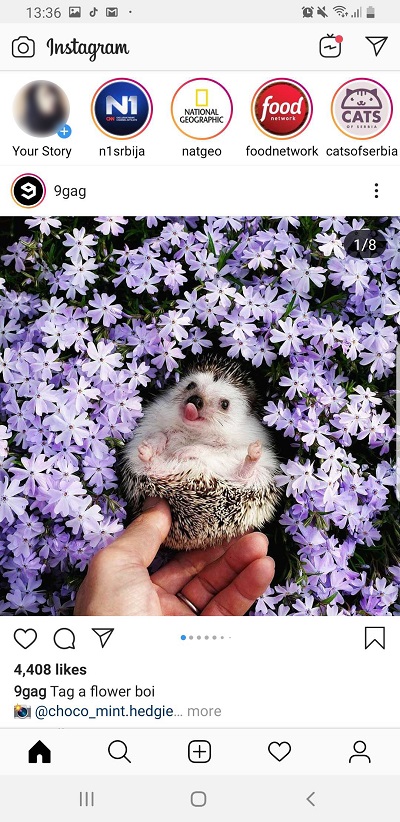 Mark Instagram Storie as Read