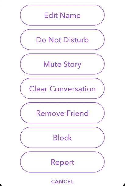 Snapchat Mute