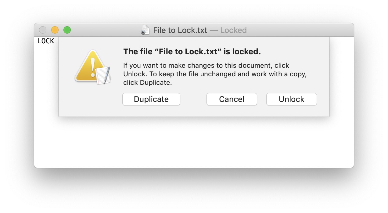 locked file warning