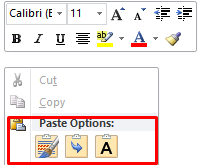 paste options