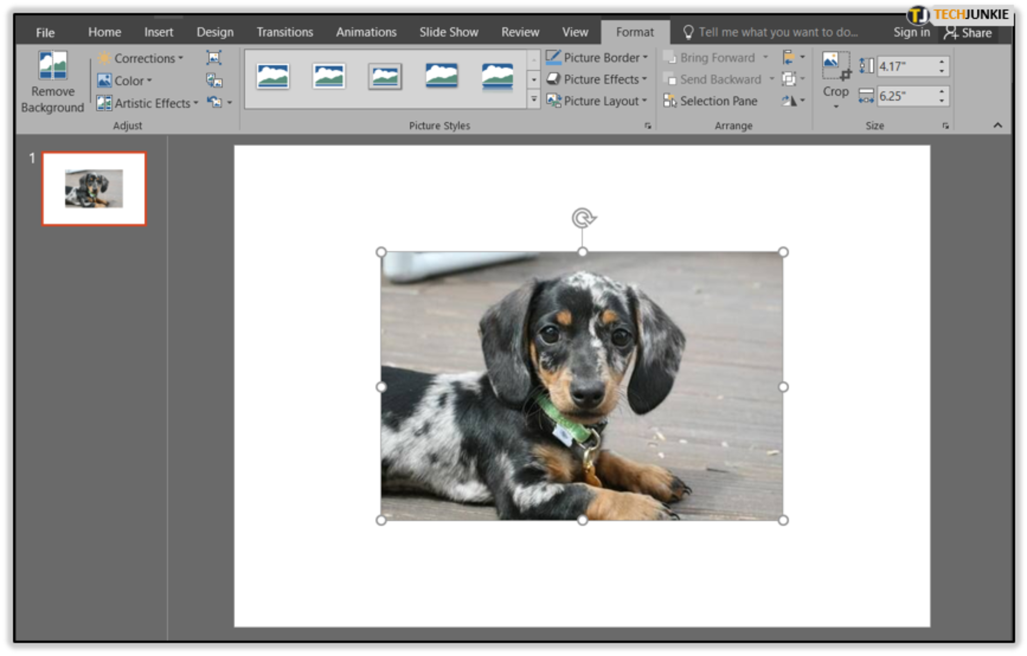 How To Make a Photo Collage as Your Desktop Background Tech Junkie