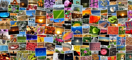 How To Make Photo Collage as Your Desktop Background