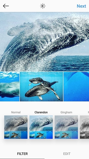 make a photo collage as an instagram post