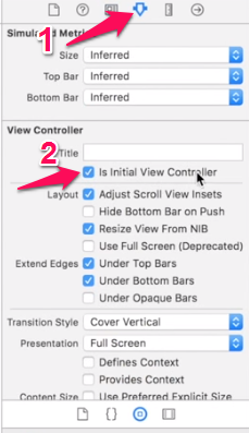 Is Initial View Controller
