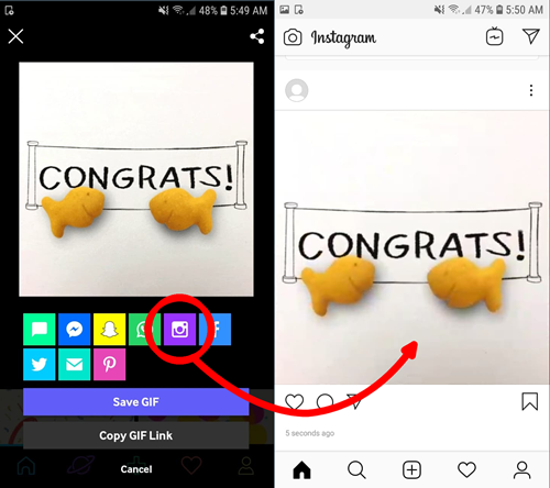 Gif Not Working in Instagram – What to Do