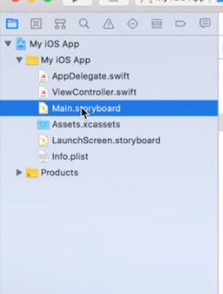 main.storyboard
