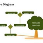 Family tree diagram